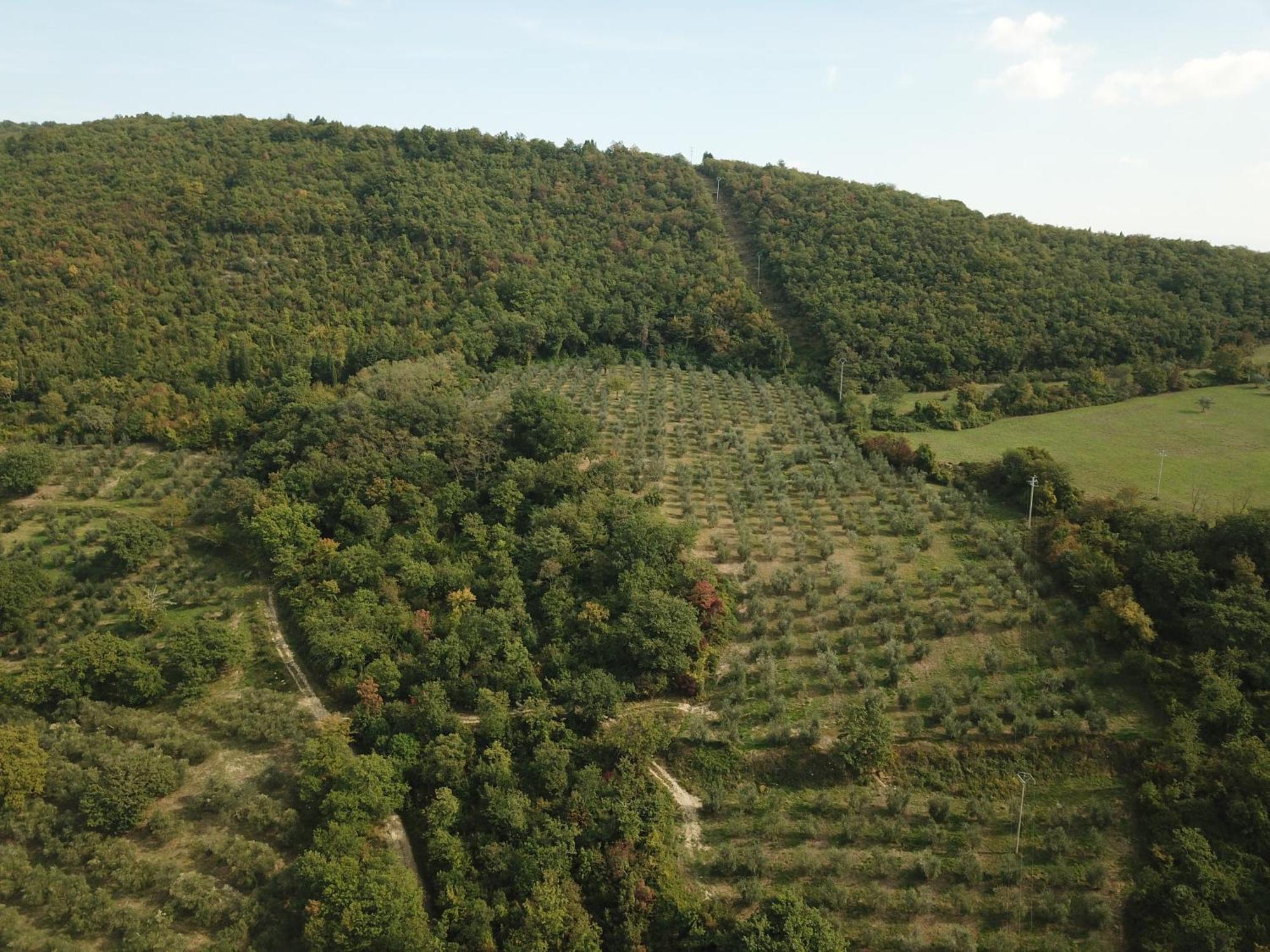 Fattoria Poggio Di Fiesole Villa ภายนอก รูปภาพ